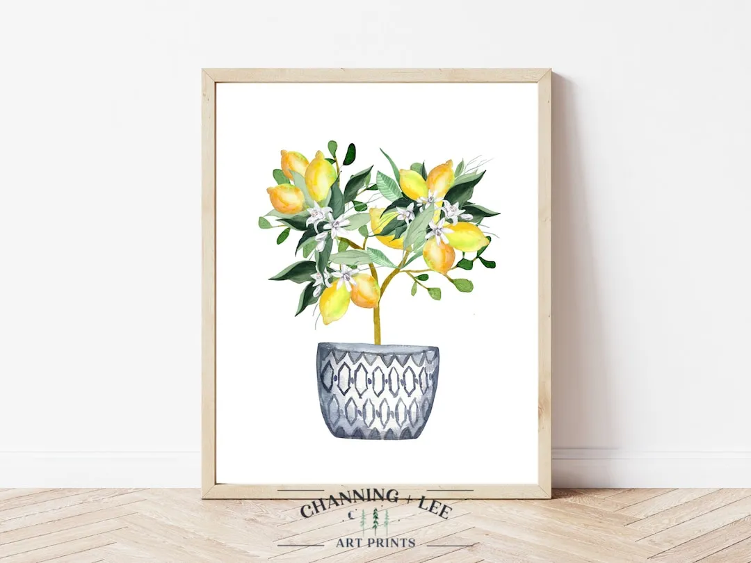 11715 wayfair lemon decor