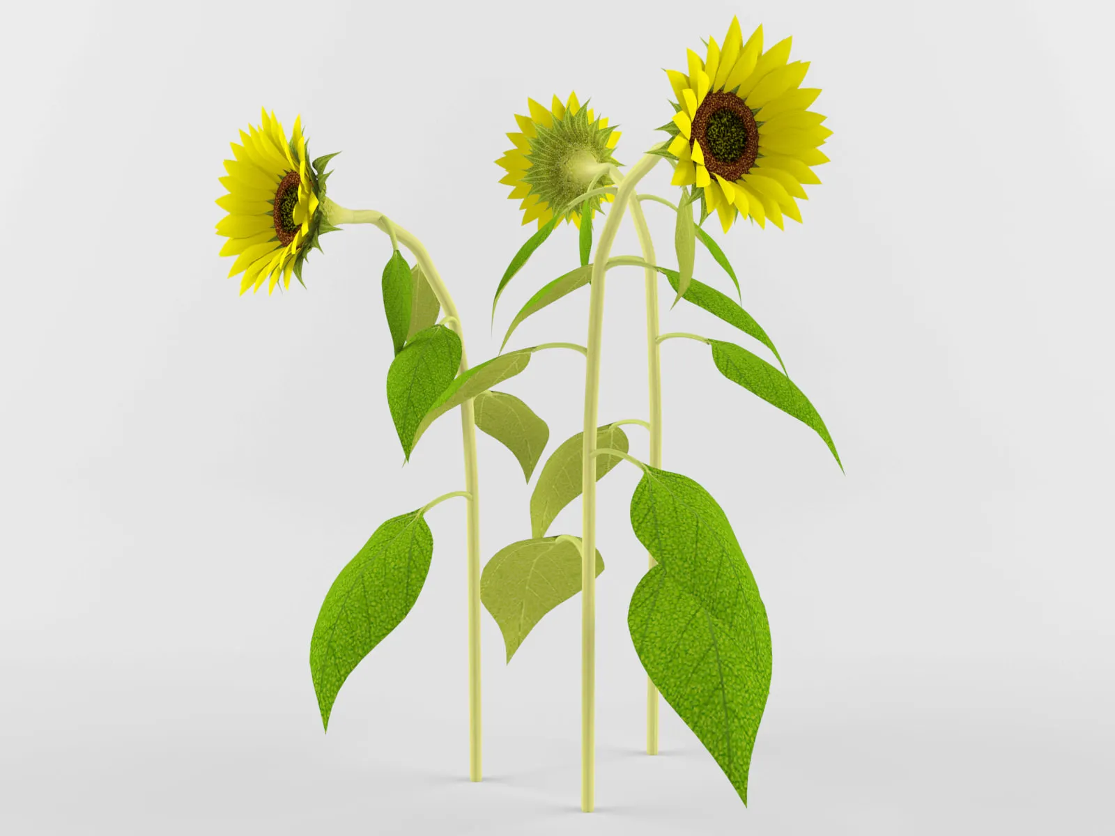 /img/11760-sunflower-kitchen-decor-model-final.webp