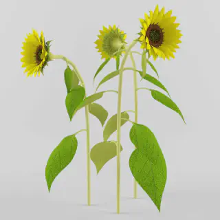 /img/11760-sunflower-kitchen-decor-model-final.webp