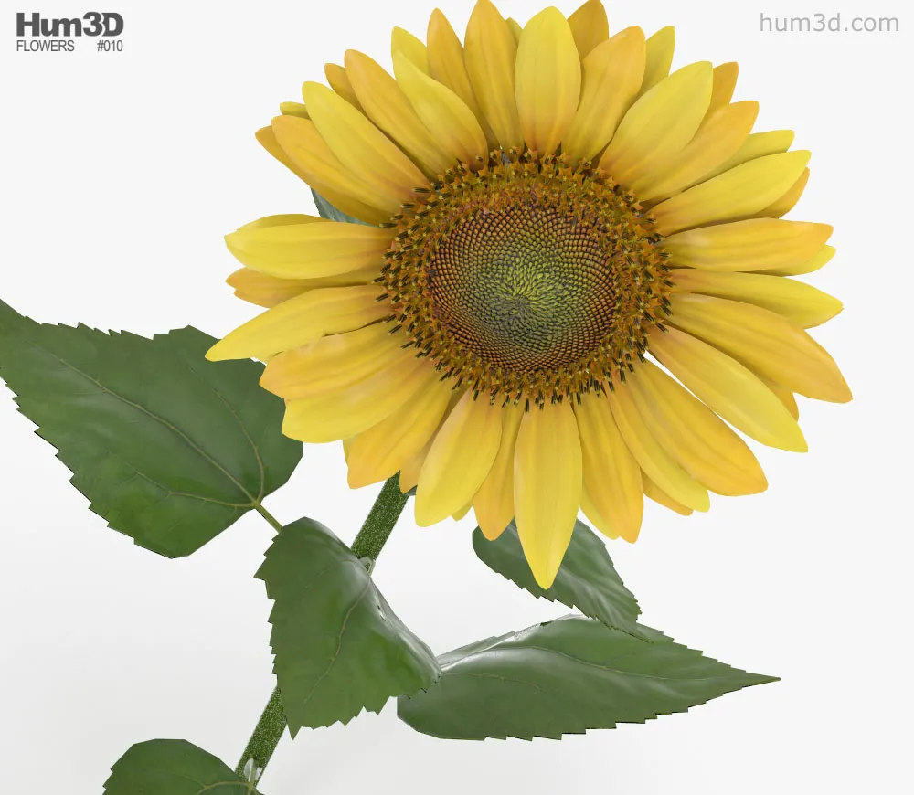 11760 sunflower kitchen decor model lighting