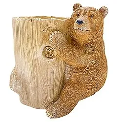 /img/11804-honey-bear-kitchen-decor-maintenance.webp
